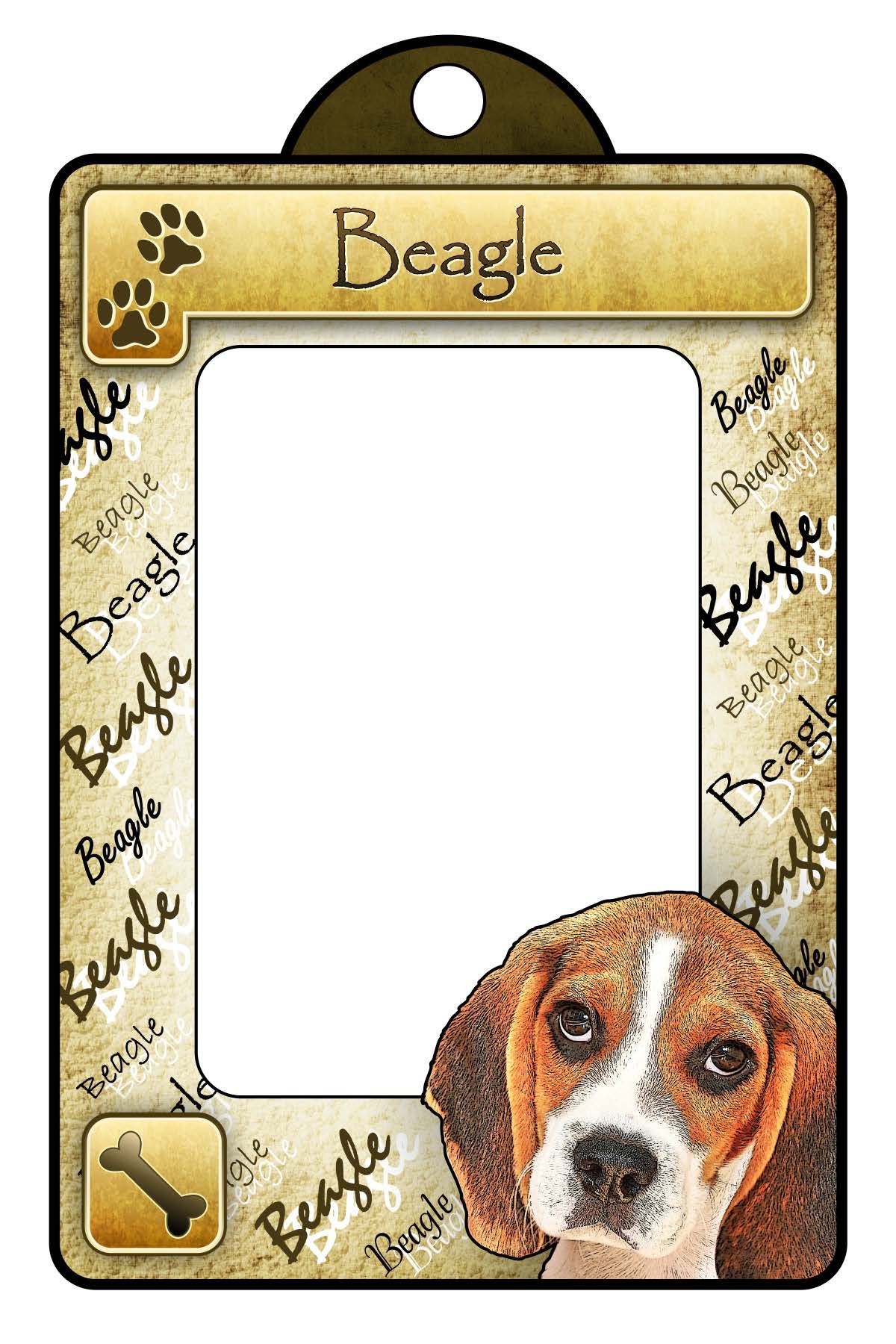 Beagle - Classic General
