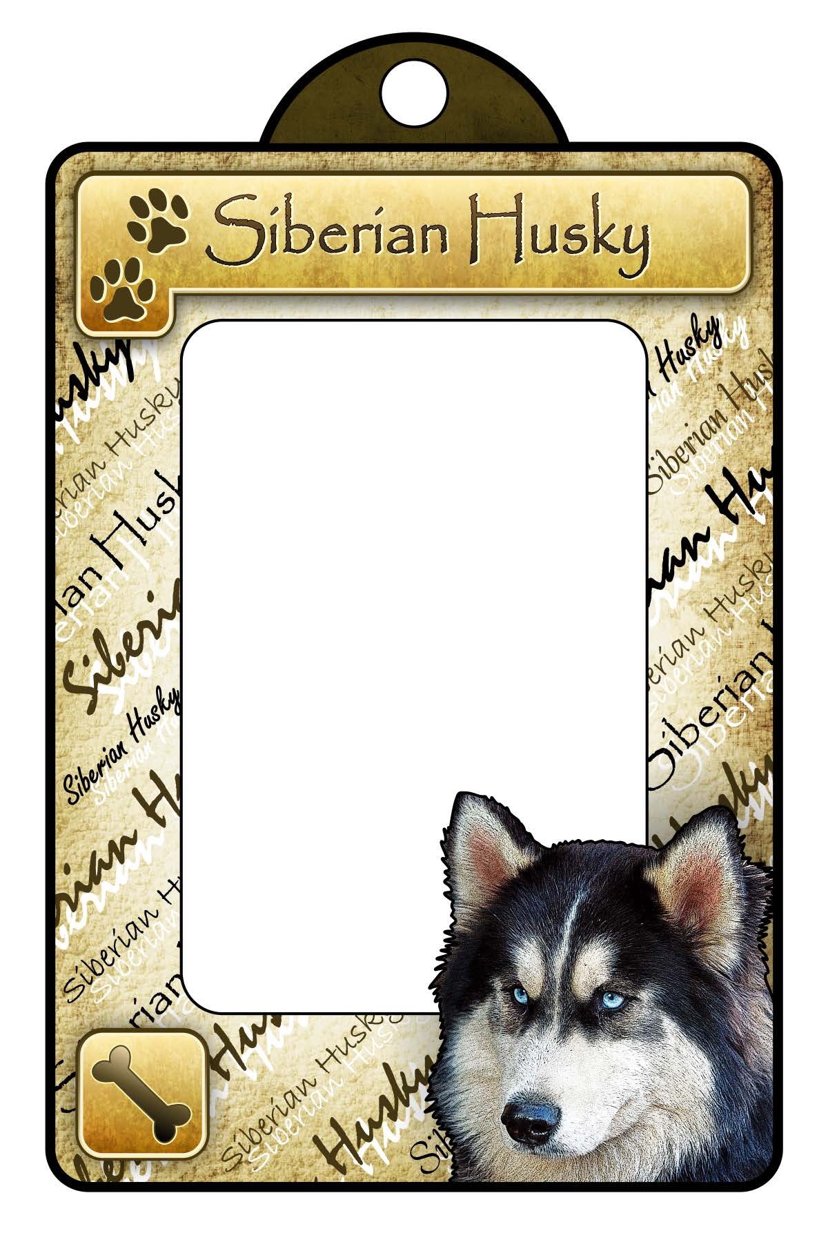Siberian Husky - Classic General