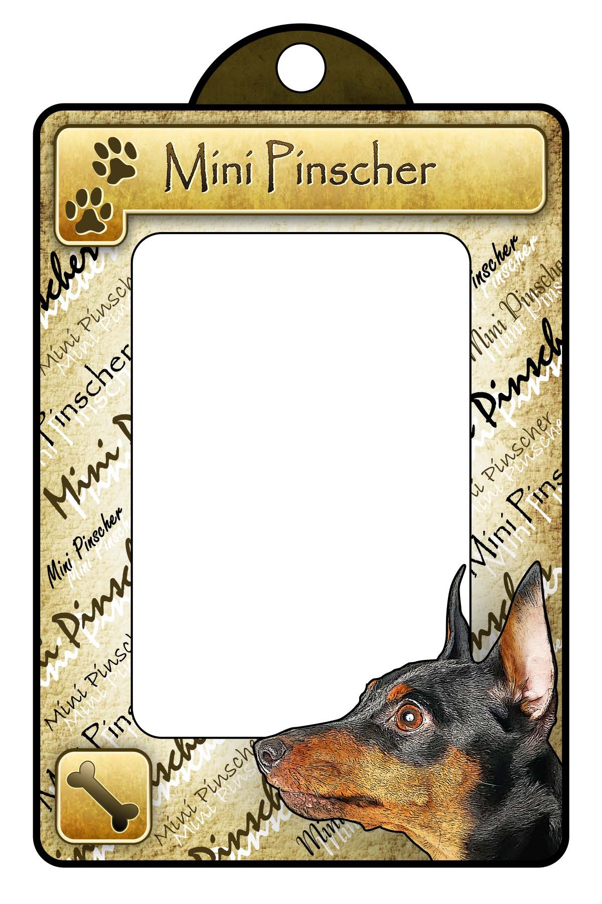 Mini Pinscher - Classic General