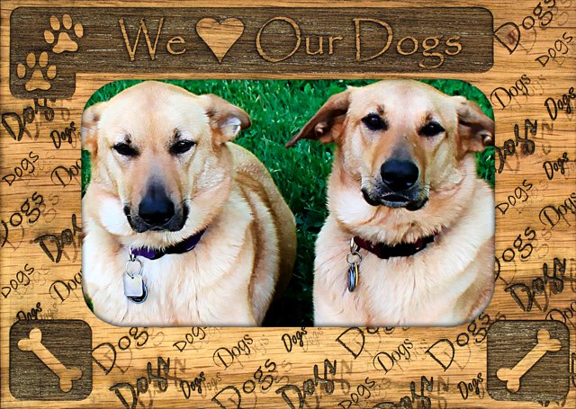 We Heart Our Dogs - Pet Picture Frame